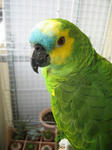 IMG_8885.jpg
