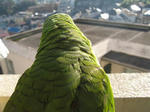 IMG_9310.jpg