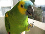 IMG_9594.jpg
