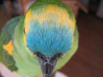 IMG_9618.jpg