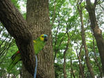 IMG_0049.jpg