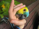 IMG_9975.jpg