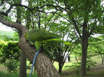 IMG_0060.jpg