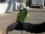 IMG_1485.jpg
