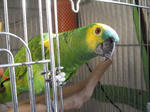 IMG_1744.jpg