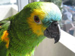 IMG_1772.jpg