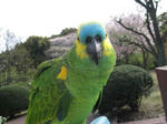 IMG_1951.jpg