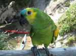 IMG_2353.jpg