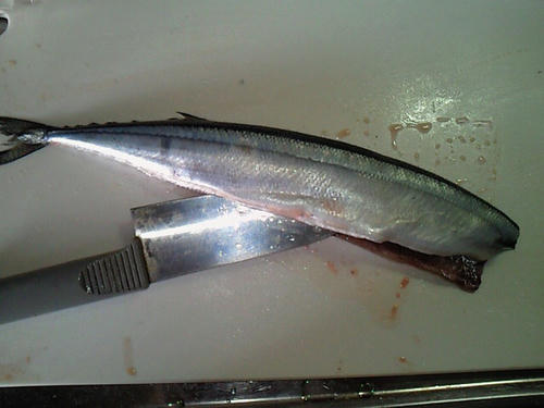 SBCA0003.JPG