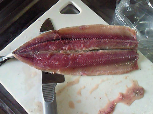 SBCA0002.JPG