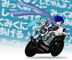 kaitoride2.jpg