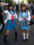 0710241cos8.jpg