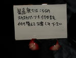 071028erofifg11.jpg