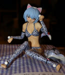 071028figeva8.jpg