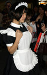 071104cos3.jpg