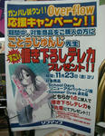 071115akiba1.jpg