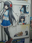 071115akiba3.jpg