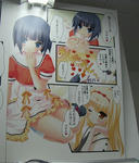 071115akiba4.jpg