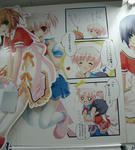 071115akiba5.jpg