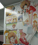 071115akiba8.jpg