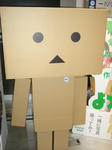 071201rivo12.jpg