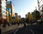 071209akiba11.jpg
