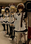 071210TDFP2.jpg