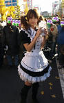 071216akiba5.jpg