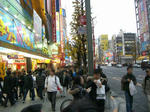 071229akiba1.jpg