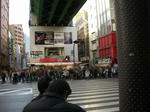 071230akiba1.jpg