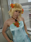 080106gata-SEED-4.jpg