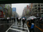 080203-akiba-2.jpg