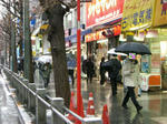 080203-akiba-5.jpg