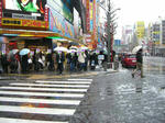 080203-akiba-6.jpg