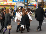 080210-akicos-7.jpg