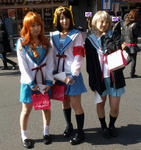 080211-akiba-4.jpg