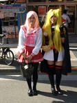 080211-akiba-5.jpg