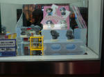080215-AOU-prize-11.jpg