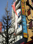 080223-boufu-4.jpg