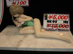080224-wonfes-okayama3.jpg