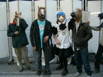 080308-akiba-1.jpg