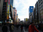080309-akibacos-4.jpg