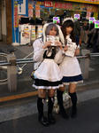 080316-akiba-1.jpg