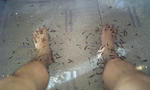 080322-jyonnobi-3.jpg