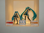 080327-TAF-11.jpg