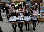 080330-akibacos-3.jpg
