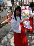 080406-akiba-3.jpg
