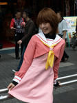 080420-akiba-7.jpg