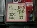 080425-akibaeva-7.jpg