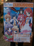 080425-akiba-4.jpg